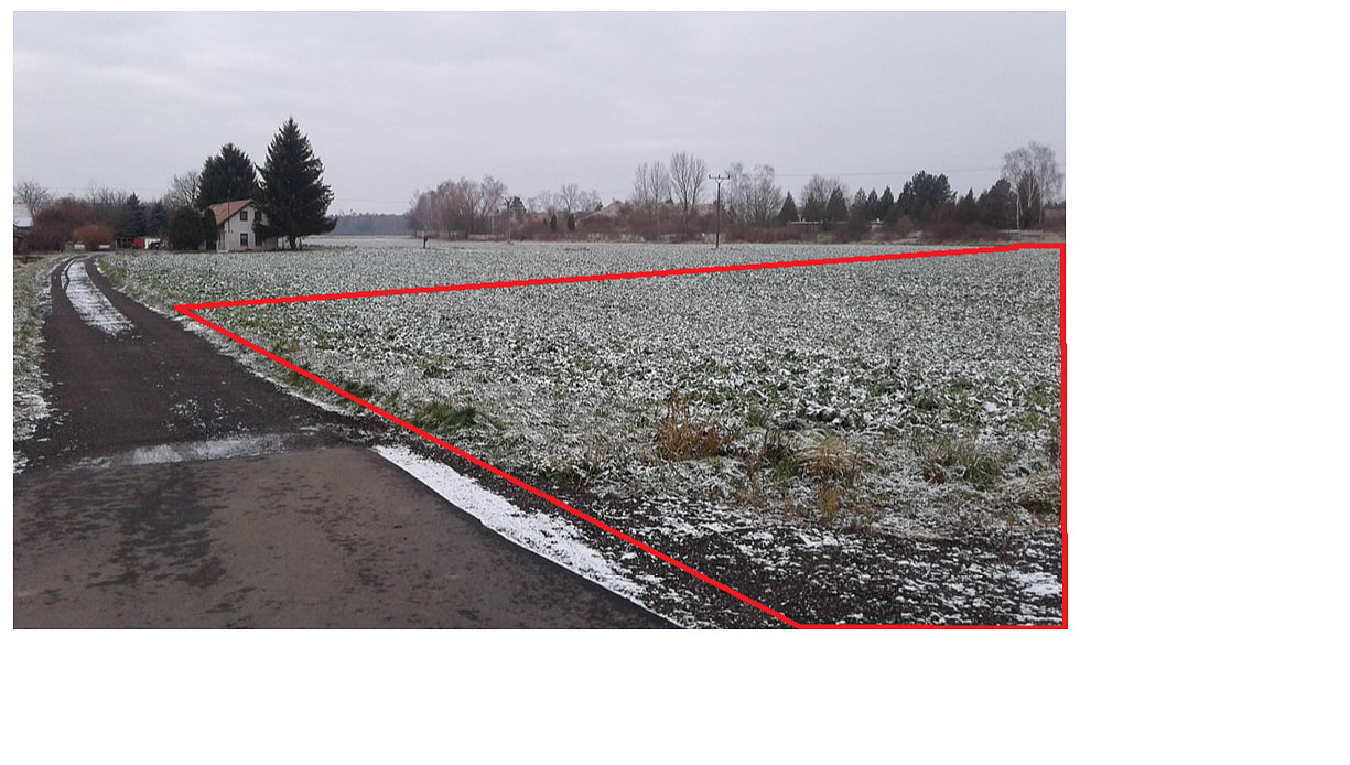 Prodej komerčního pozemku 19 000 m² — photo 3
