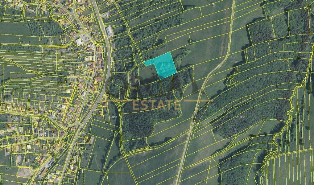 Prodej pole 49 957 m², Horní Lhota – náhled fotky 2