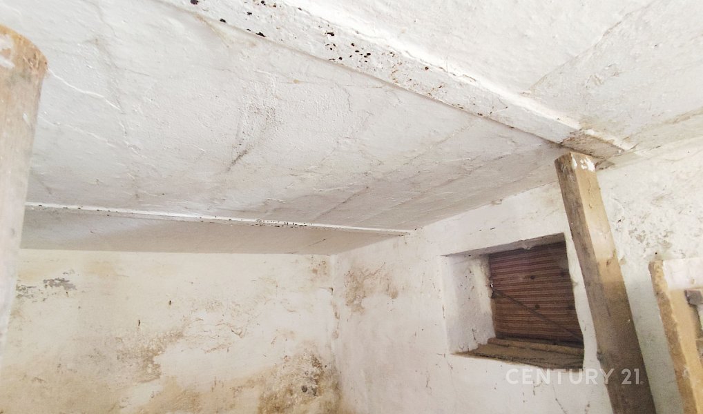 Prodej domu 150 m² s pozemkem 7 250 m², Nová Včelnice – náhled fotky 17
