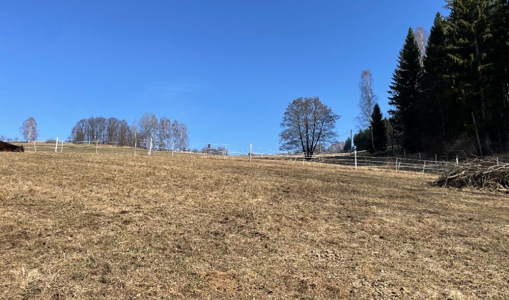 Prodej domu 180 m², Jeseník – náhled fotky 31