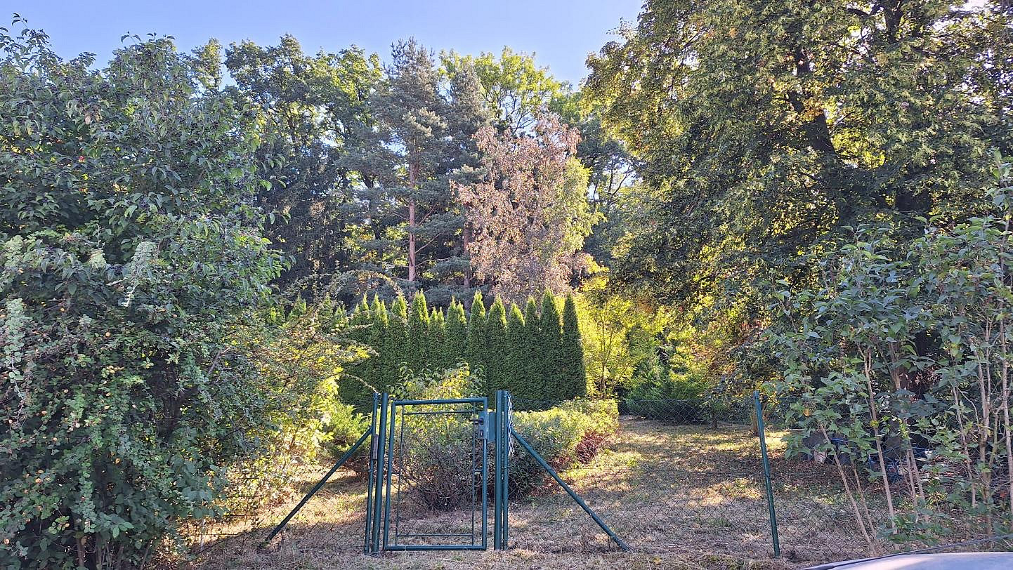 Prodej chaty/chalupy 30 m² s pozemkem 1 127 m² - View 2