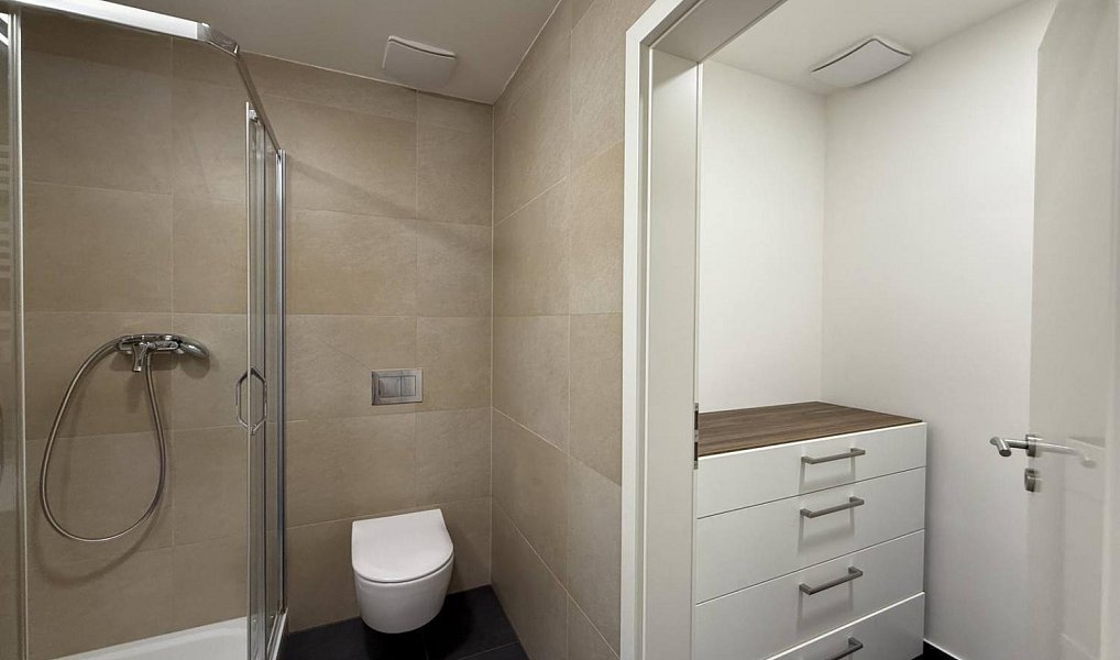 Pronájem bytu 1+kk 39 m², Praha – náhled fotky 8