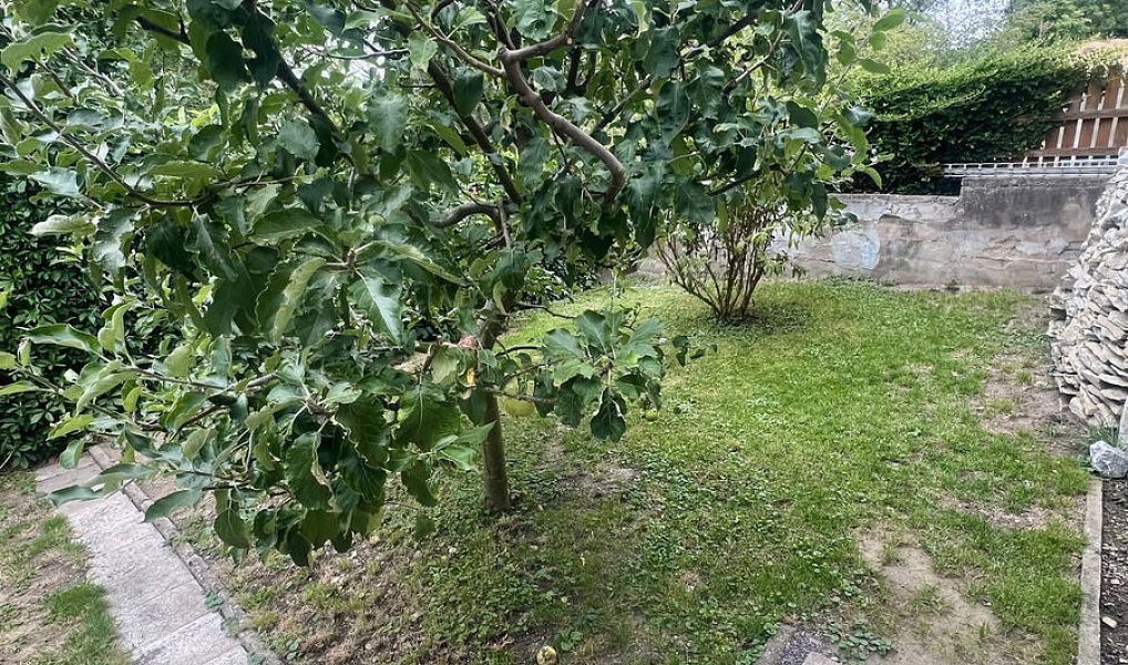 Prodej domu 90 m² s pozemkem 342 m², Rosice – náhled fotky 19