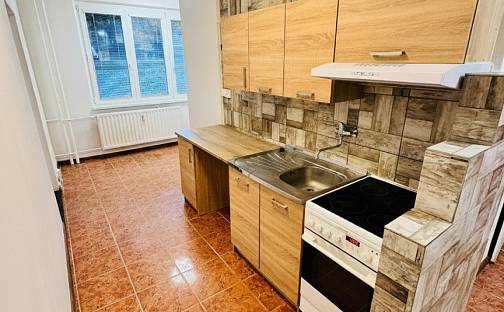 Pronájem bytu 4+1 76 m², Zahradní, Chomutov