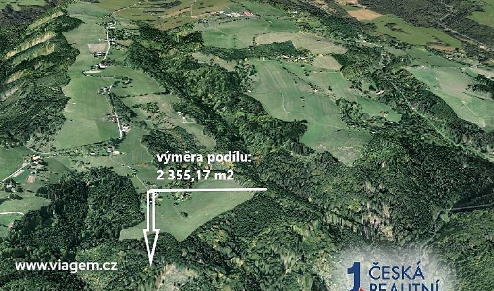 Prodej lesa 2 355 m², Cotkytle – náhled fotky 2