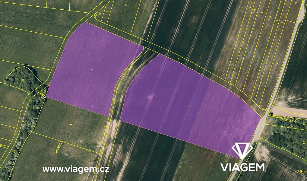 Prodej pole 1 490 m², Šarovy – náhled fotky 4