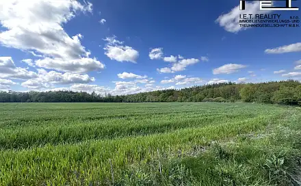 Prodej stavebního pozemku 900 m², Vranov nad Dyjí, okres Znojmo