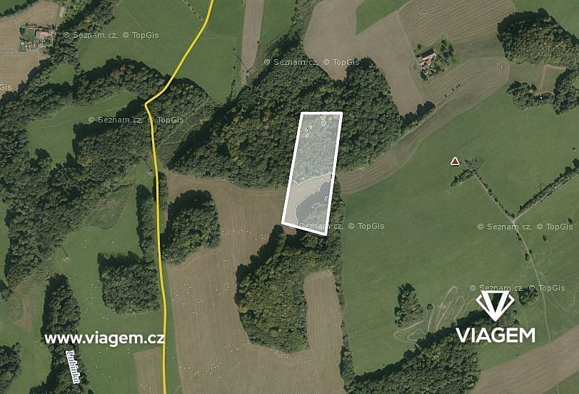 Prodej lesa 6 435 m² – fotografie 3