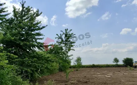 Prodej zahrady 4 174 m², Charváty, okres Olomouc