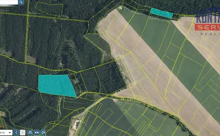 Prodej lesa 32 004 m², Bačalky - Lično, okres Jičín