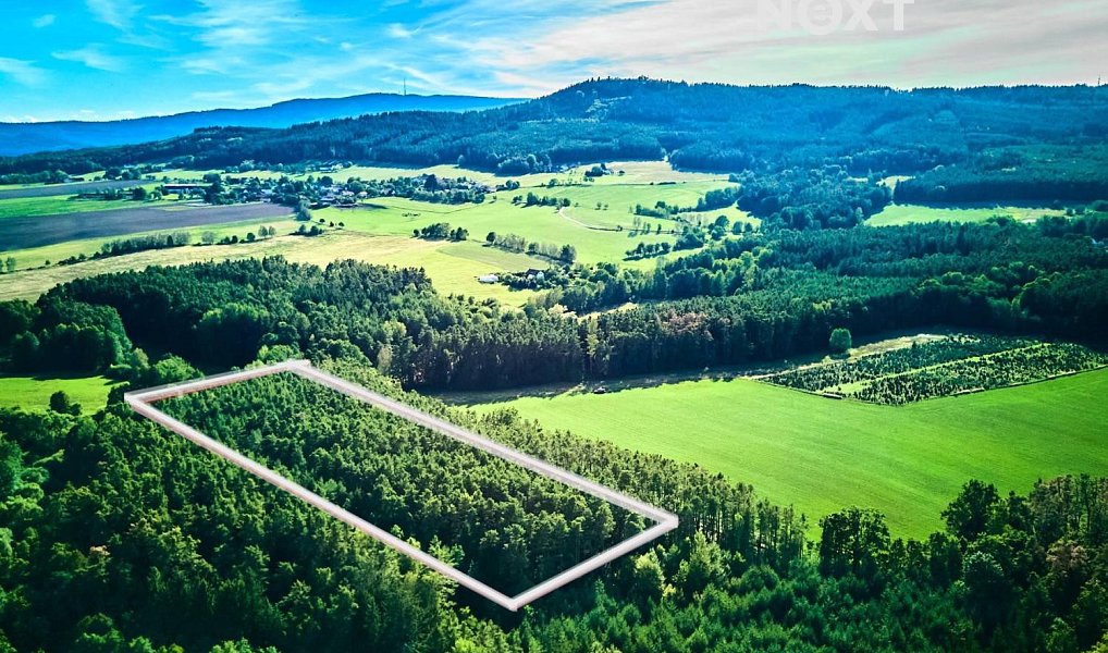 Prodej lesa 13 404 m², Hradce – náhled fotky 7