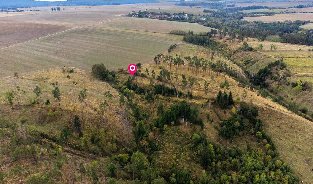 Prodej lesa 15 246 m², Vladislav – náhled fotky 2