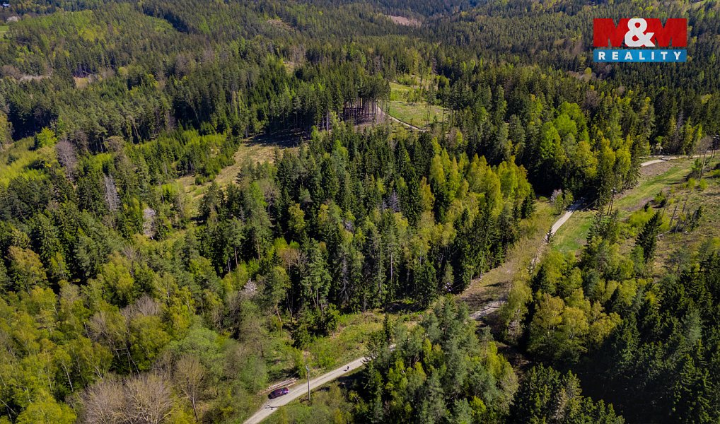 Prodej lesa 11 203 m², Železný Brod – náhled fotky 3