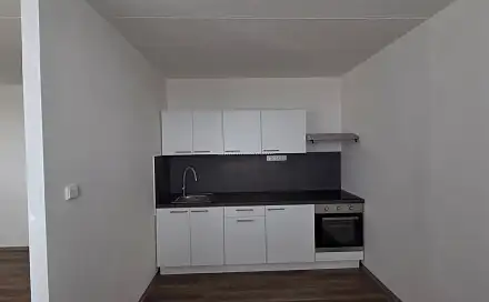 Pronájem bytu 3+1 55 m², Růžová, Most