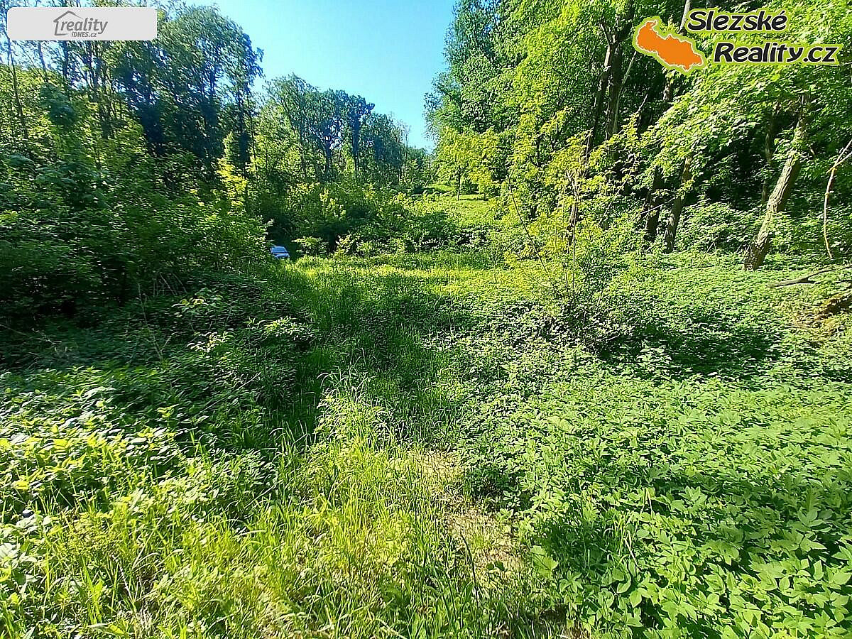 Prodej lesa 6 415 m²