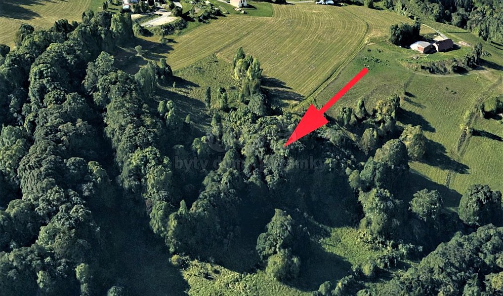 Prodej louky 6 562 m², Koberovy – náhled fotky 3