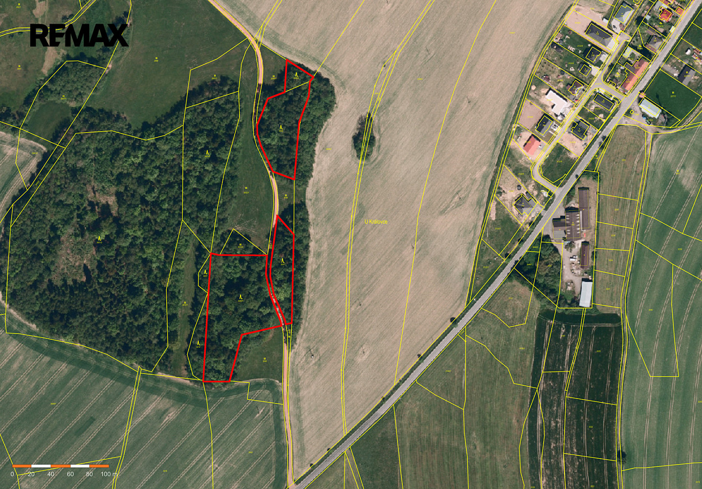 Prodej lesa 25 088 m²