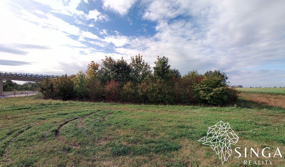 Prodej pole 12 853 m² – fotografie 3