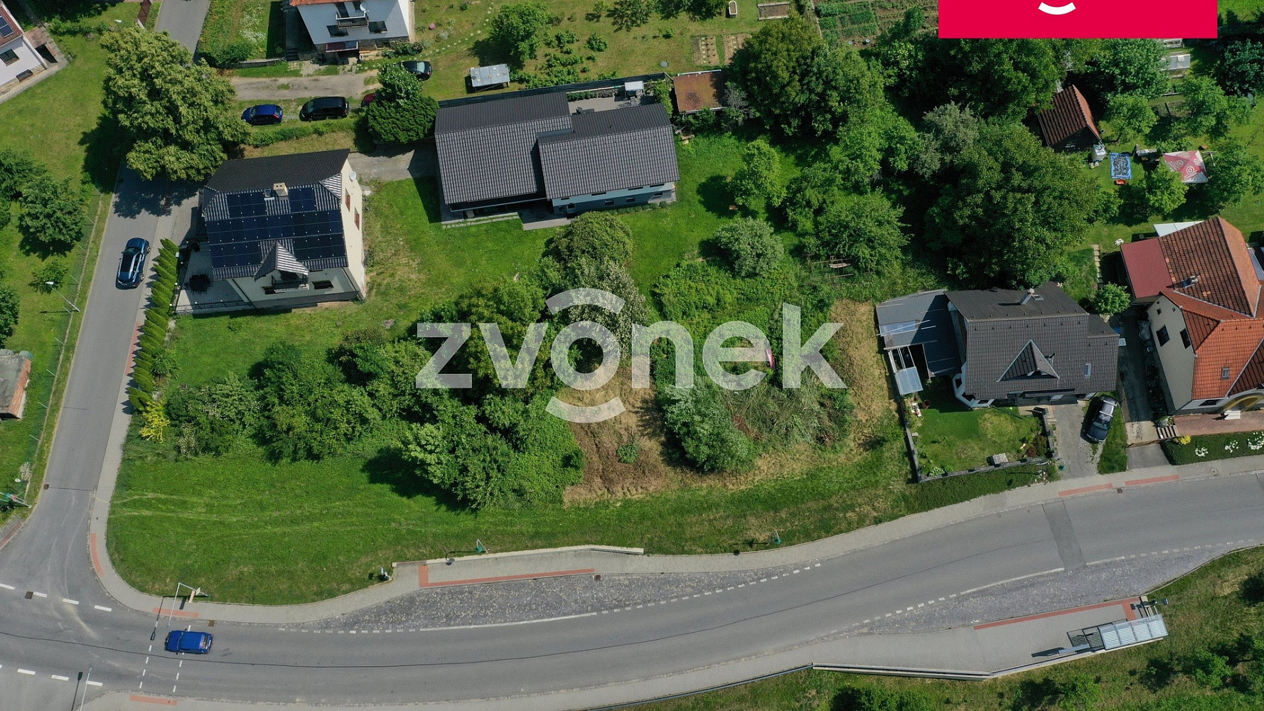 Fotka 11 z 16