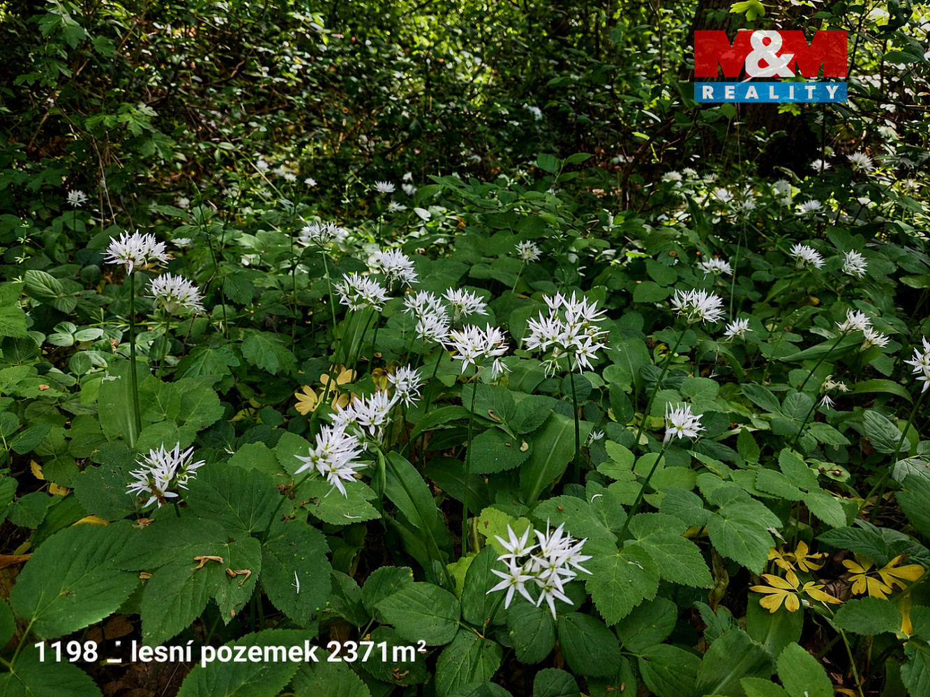 Prodej pole 142 115 m² – další