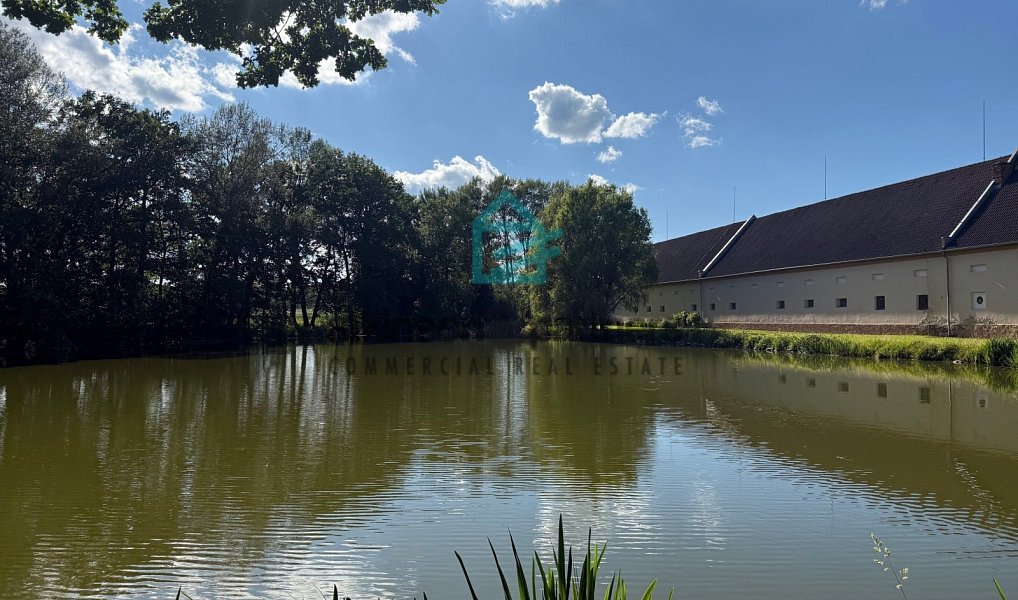 Prodej chaty/chalupy 1 600 m² s pozemkem 919 488 m², Břehov – náhled fotky 4