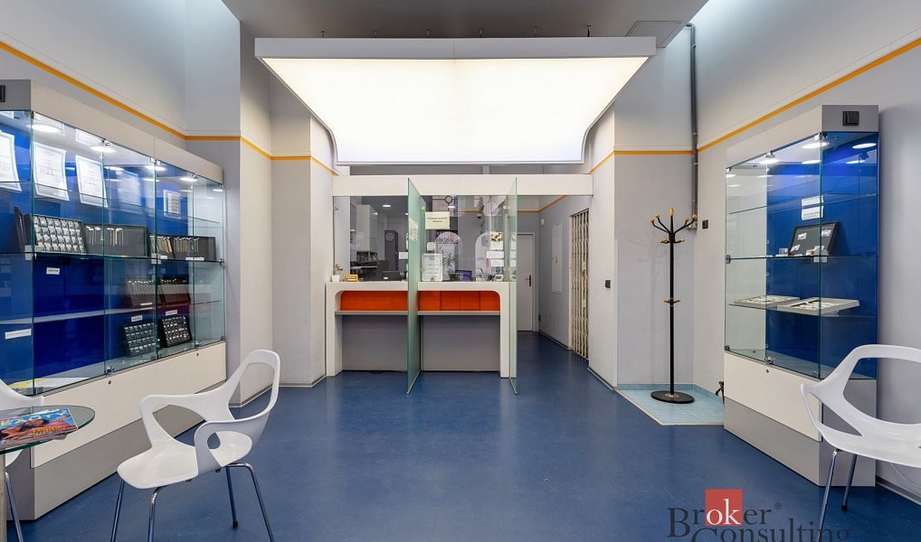 Prodej komerčního objektu (jiného typu) 999 m², Brno – náhled fotky 5