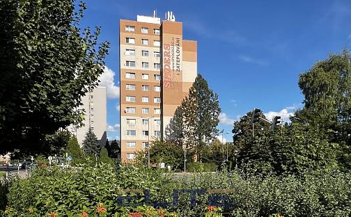 Pronájem bytu 1+1 40 m², Letná, Liberec - Liberec XII-Staré Pavlovice