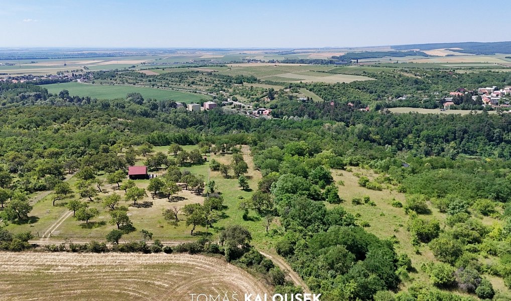 Prodej pozemku 2 107 m², Dolní Kounice – náhled fotky 9