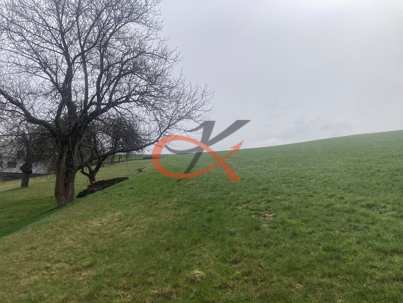 Fotka 10 z 17