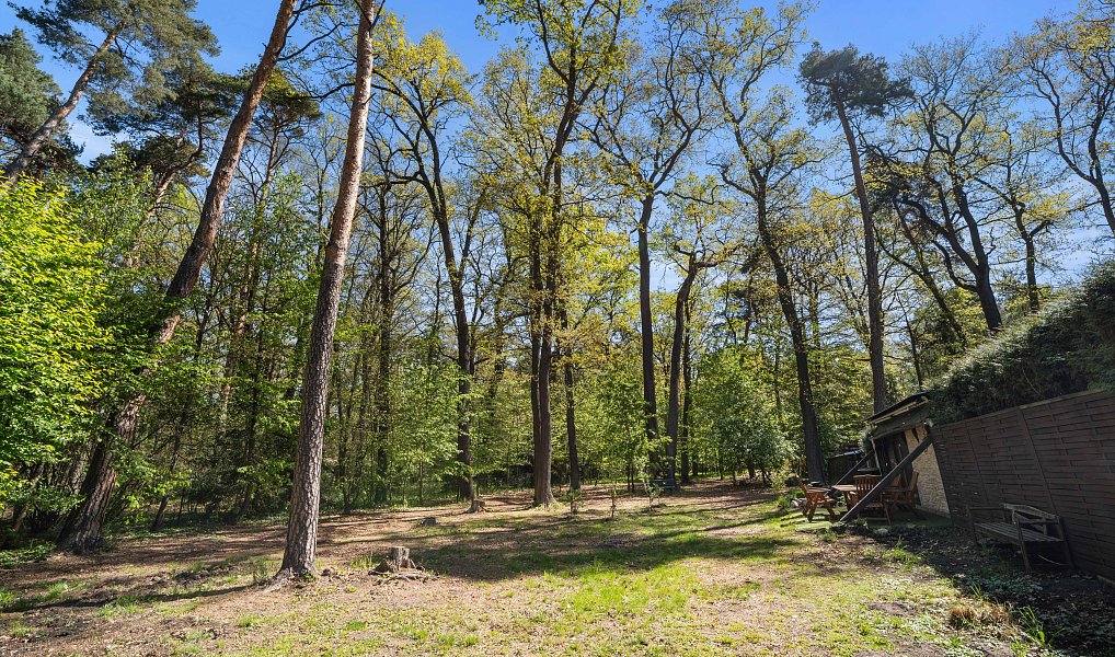 Prodej stavebního pozemku 2 427 m², Hradištko – náhled fotky 7