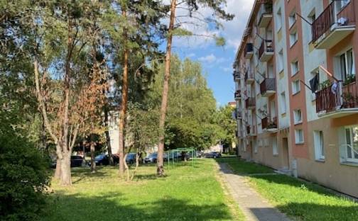 Pronájem bytu 2+1 54 m², tř. Svornosti, Olomouc - Nová Ulice