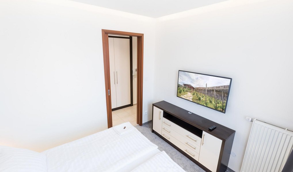 Pronájem bytu 2+kk 45 m², Praha – náhled fotky 8