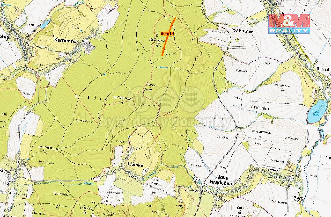 Prodej lesa 10 966 m² – pohled 4