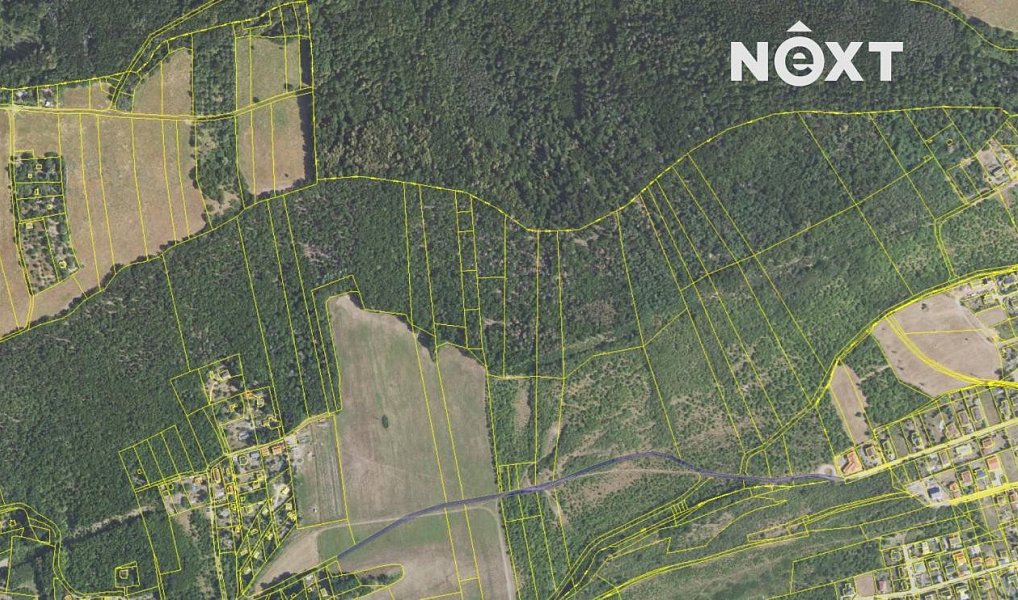Prodej lesa 3 149 m², Chrustenice – náhled fotky 9