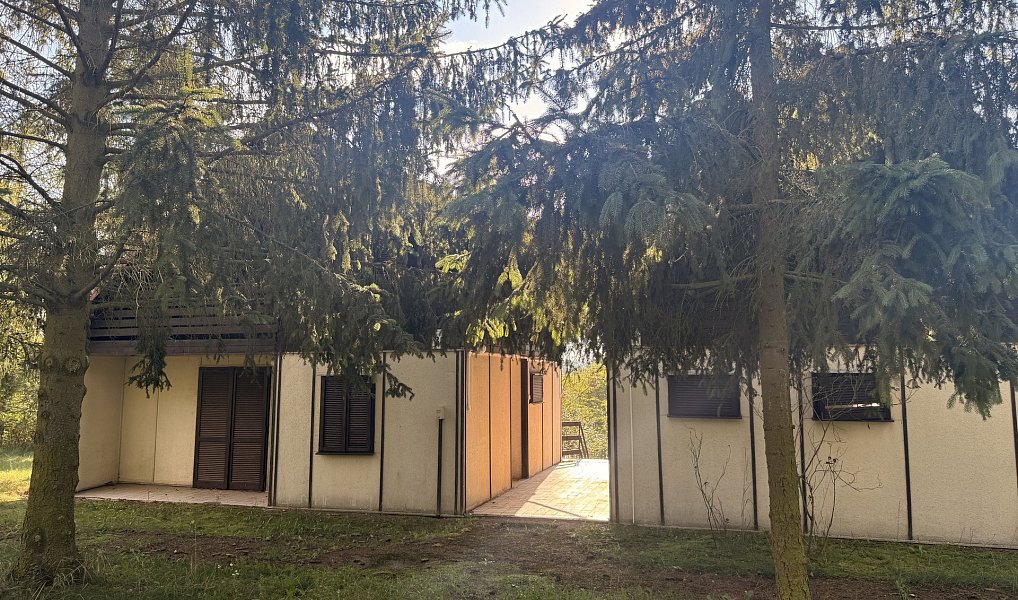 Prodej chaty/chalupy 180 m² s pozemkem 894 m², Račice – náhled fotky 15