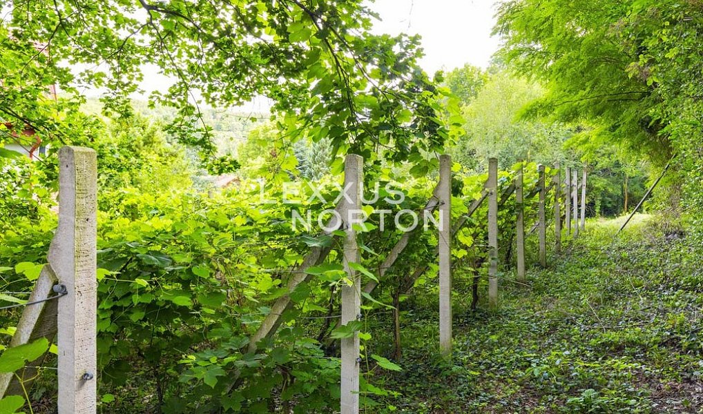 Prodej domu 70 m² s pozemkem 1 416 m², Roztoky – náhled fotky 13