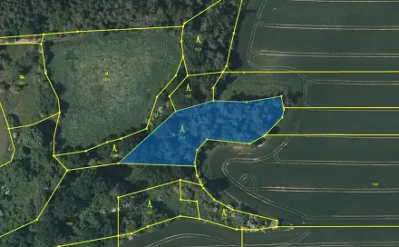 Prodej lesa 2 471 m², Černíkovice, okres Plzeň-sever