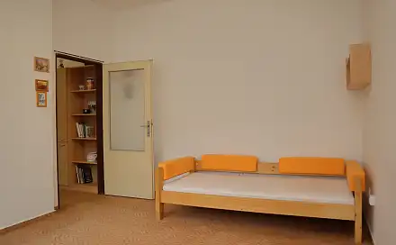 Prodej bytu 1+1 31 m², Čechova, Benešov