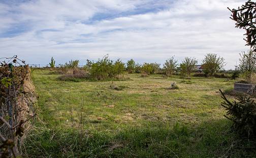 Prodej stavebního pozemku 1 766 m², Dolní Břežany, okres Praha-západ