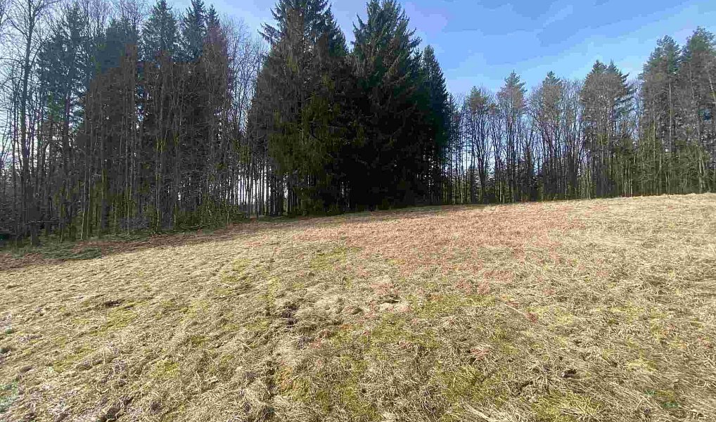 Prodej pole 3 869 m², Kraslice – náhled fotky 10