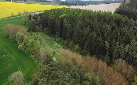 Dražba louky 16 180 m², Křenov