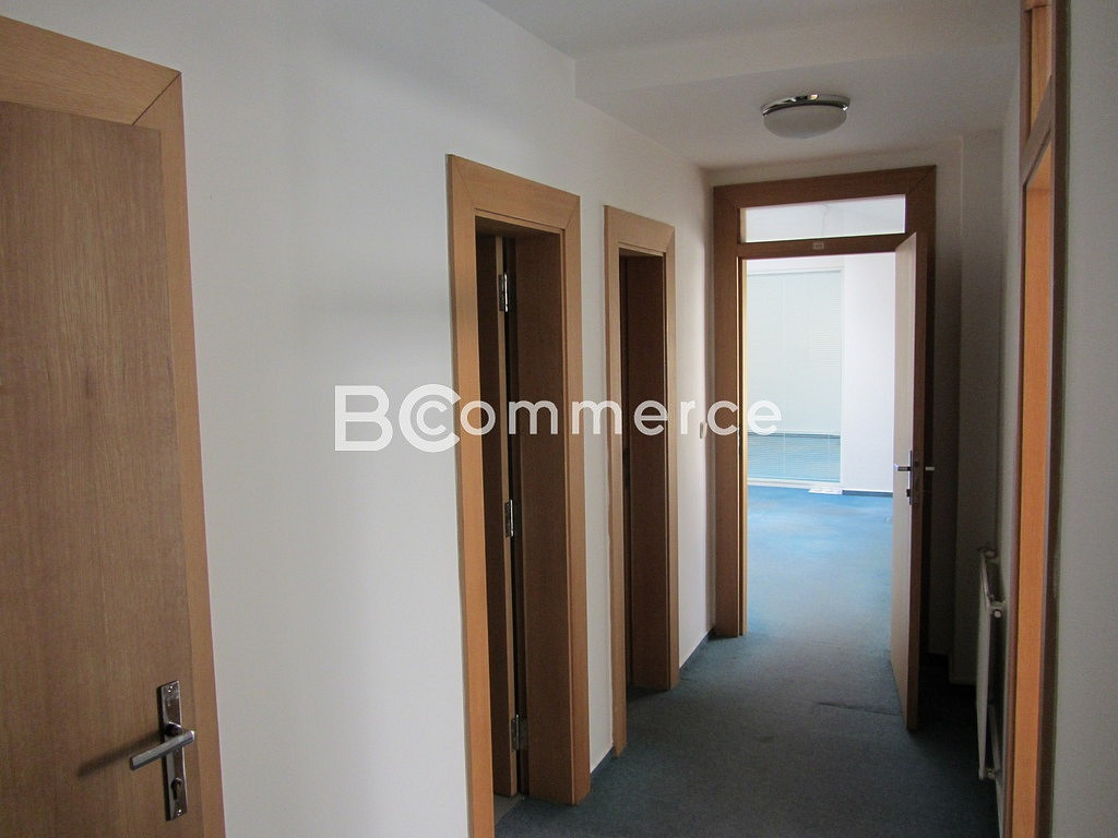 Pronájem komerčního objektu (jiného typu) 99 m² – fotografie 4
