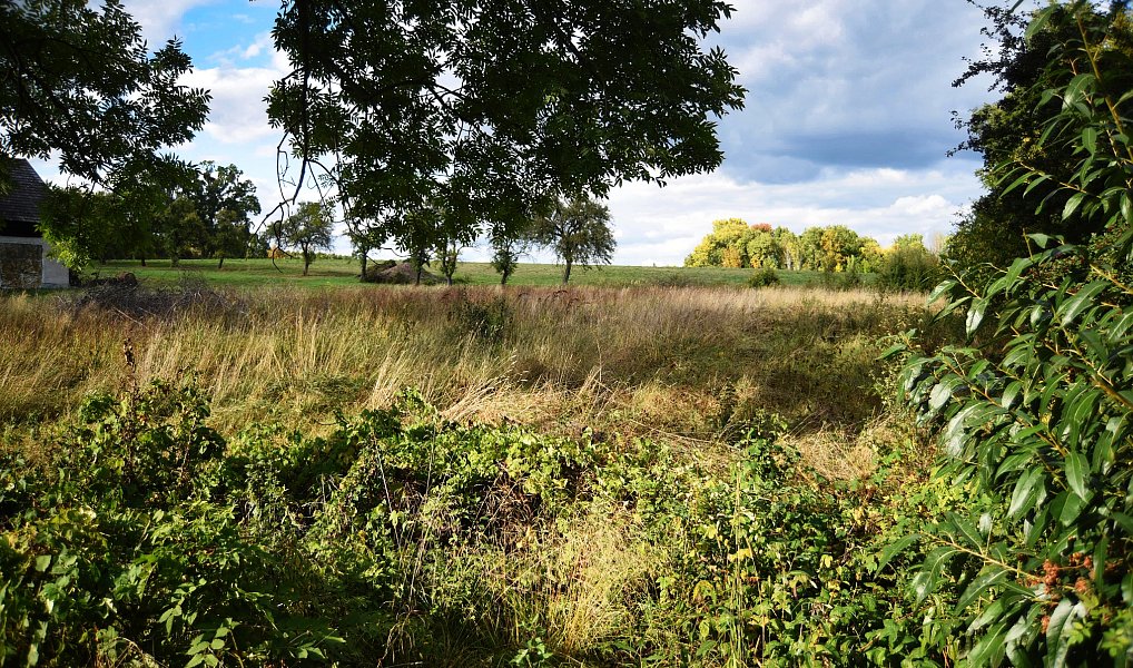Prodej stavebního pozemku 1 356 m², Česká Skalice – náhled fotky 7