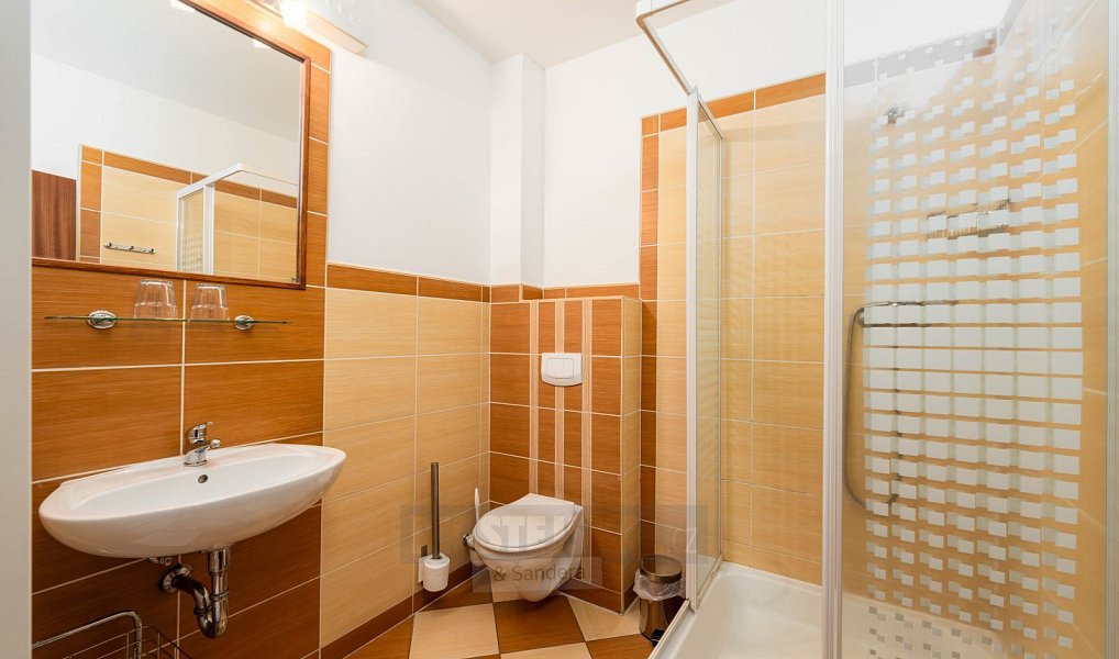 Prodej ubytovacího objektu 900 m², Přední Výtoň – náhled fotky 24