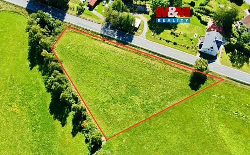 Prodej stavebního pozemku 5 033 m², Damníkov, okres Ústí nad Orlicí