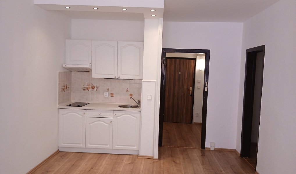 Prodej bytu 1+kk 29 m², Praha – náhled fotky 3