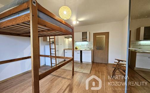 Pronájem bytu 1+kk 111 m², Švihovská, Praha 4 - Písnice