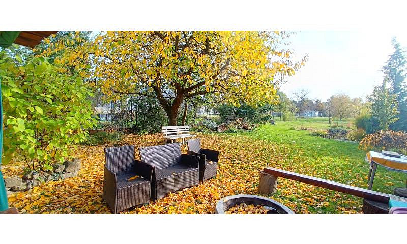 Pronájem domu 85 m² s pozemkem 3 200 m² – fotografie 5