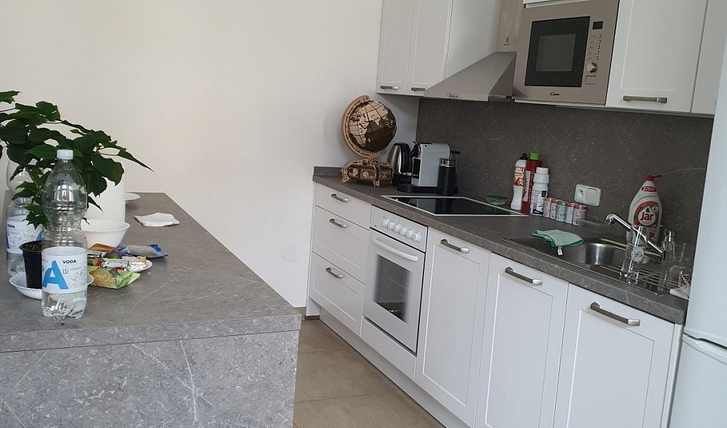 Pronájem bytu 2+kk 65 m², Praha – náhled fotky 4