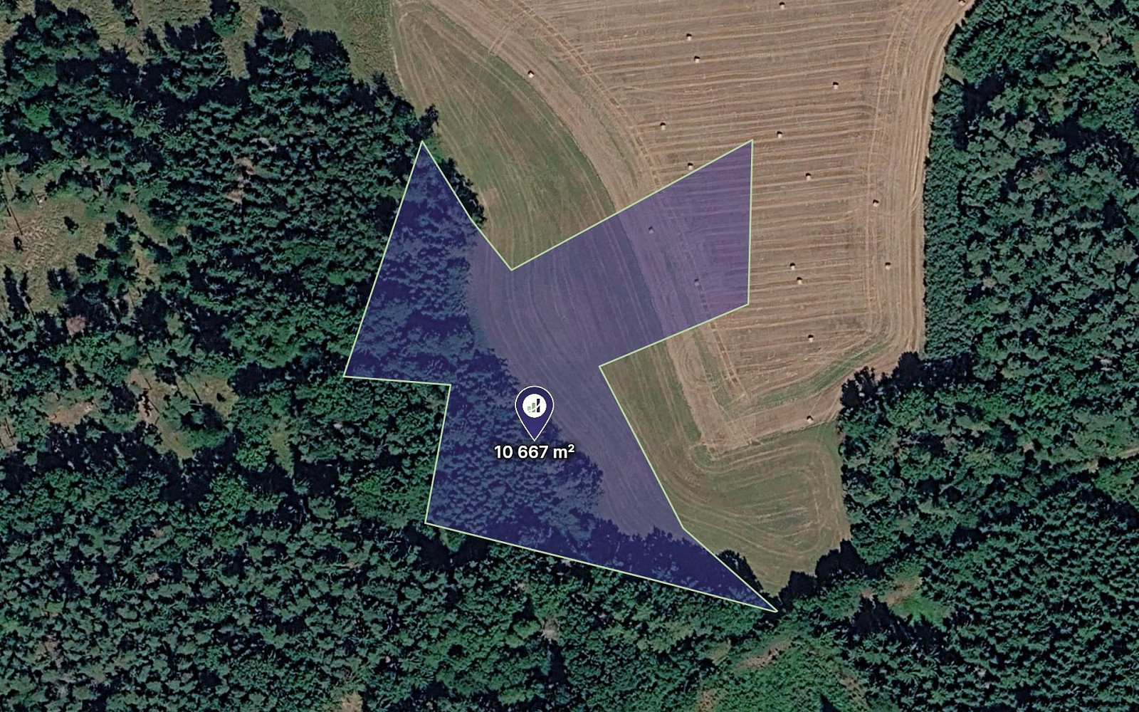 Prodej lesa 7 381 m²